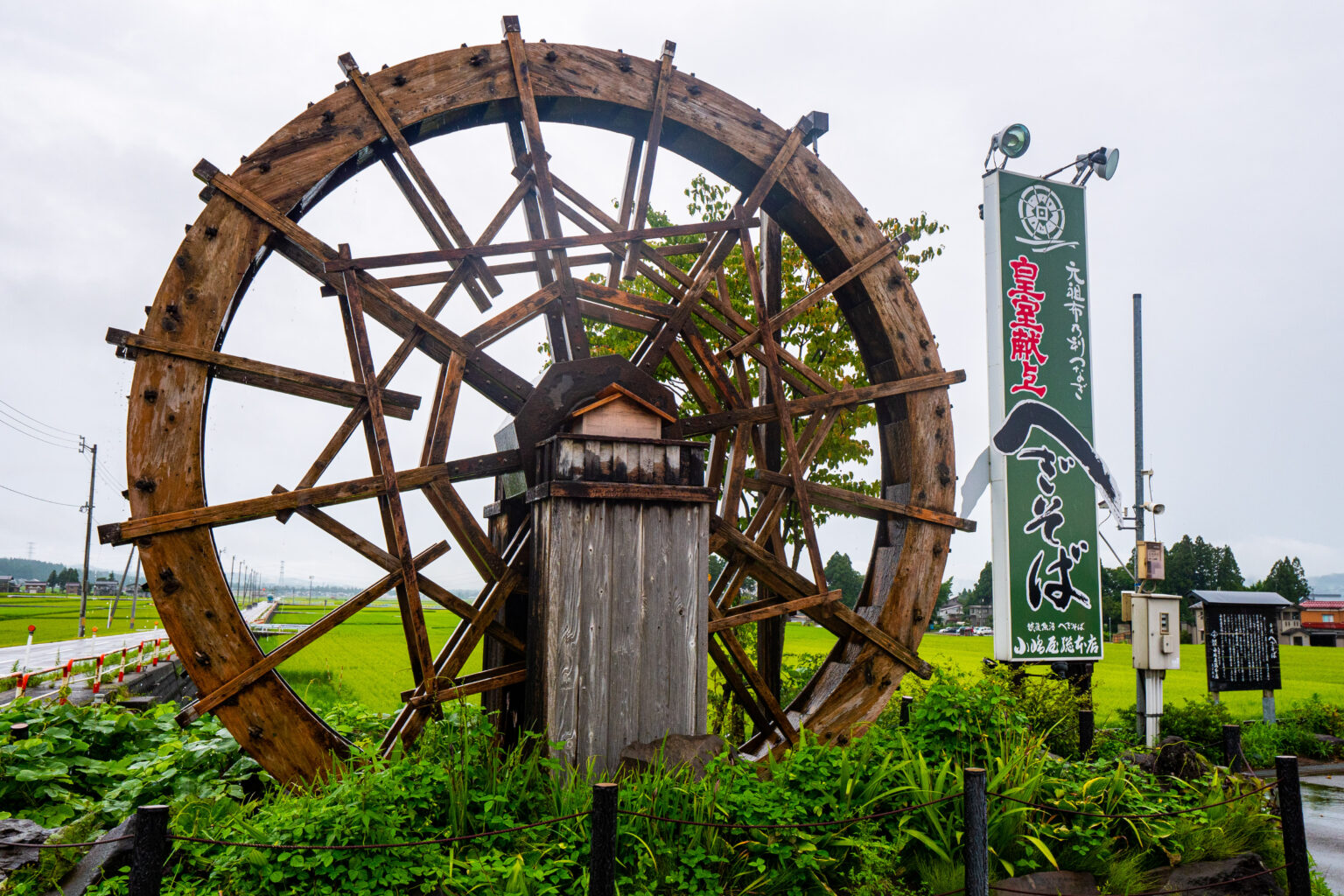 小嶋屋総本店【十日町ランチ】人気ナンバーワンの「天へぎ」を全集中でいただきます！