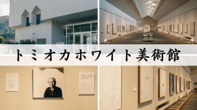 トミオカホワイト美術館【南魚沼】一本の絵具に込められた想いを紐解く