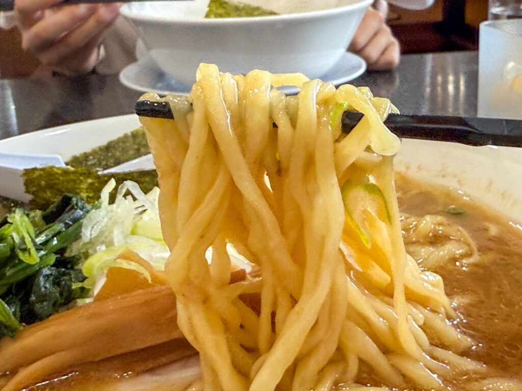 麺リフト：もちもちの中太麺がとんこつスープをしっかり持ち上げる様子