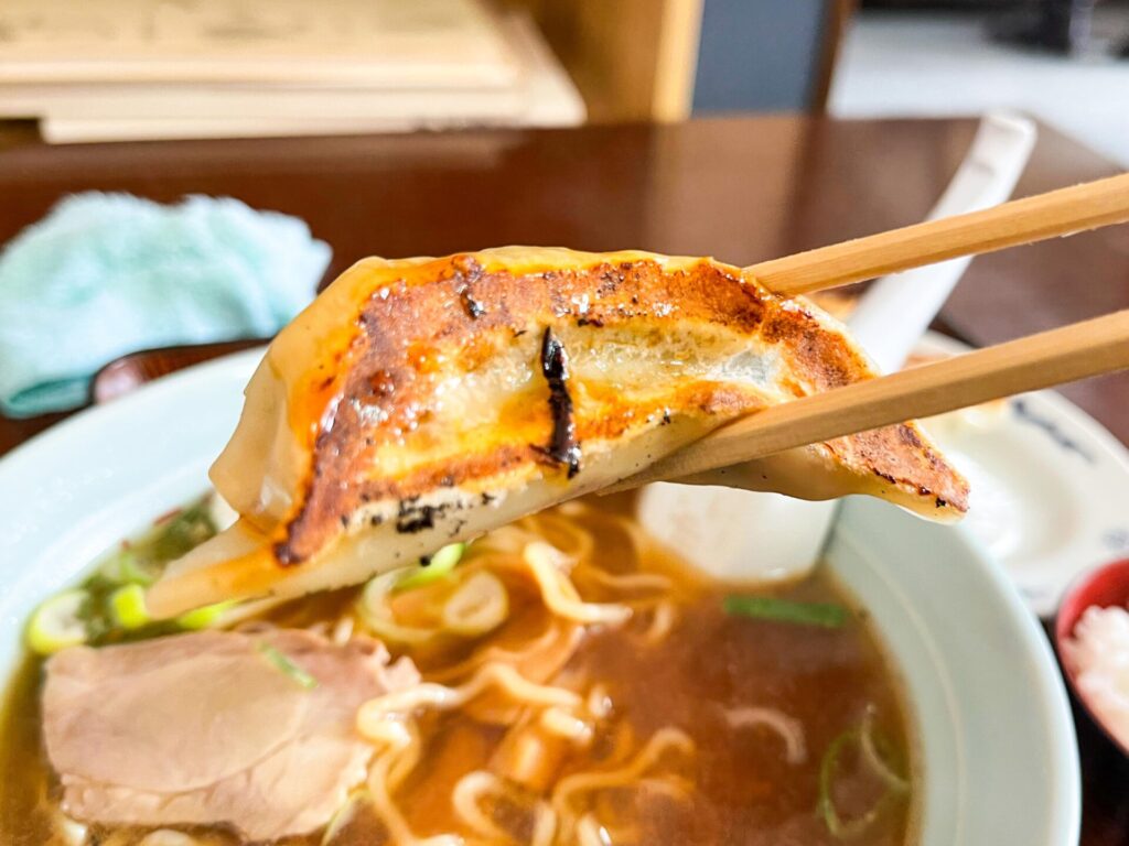 香ばしく焼き上げた餃子を箸でつかんだシズル感のある写真