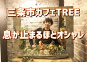 三条市【カフェTREEツリー】駐車場情報とハンバーガーなど全メニュー公開